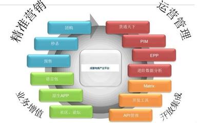 電商運營高手為何不自創品牌？解析平臺開發與運營的深層邏輯